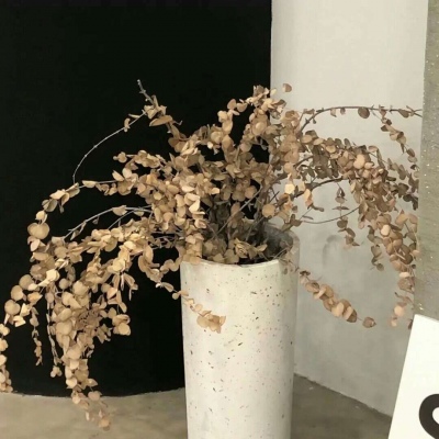 兽设森林场景创作FurryQQ群